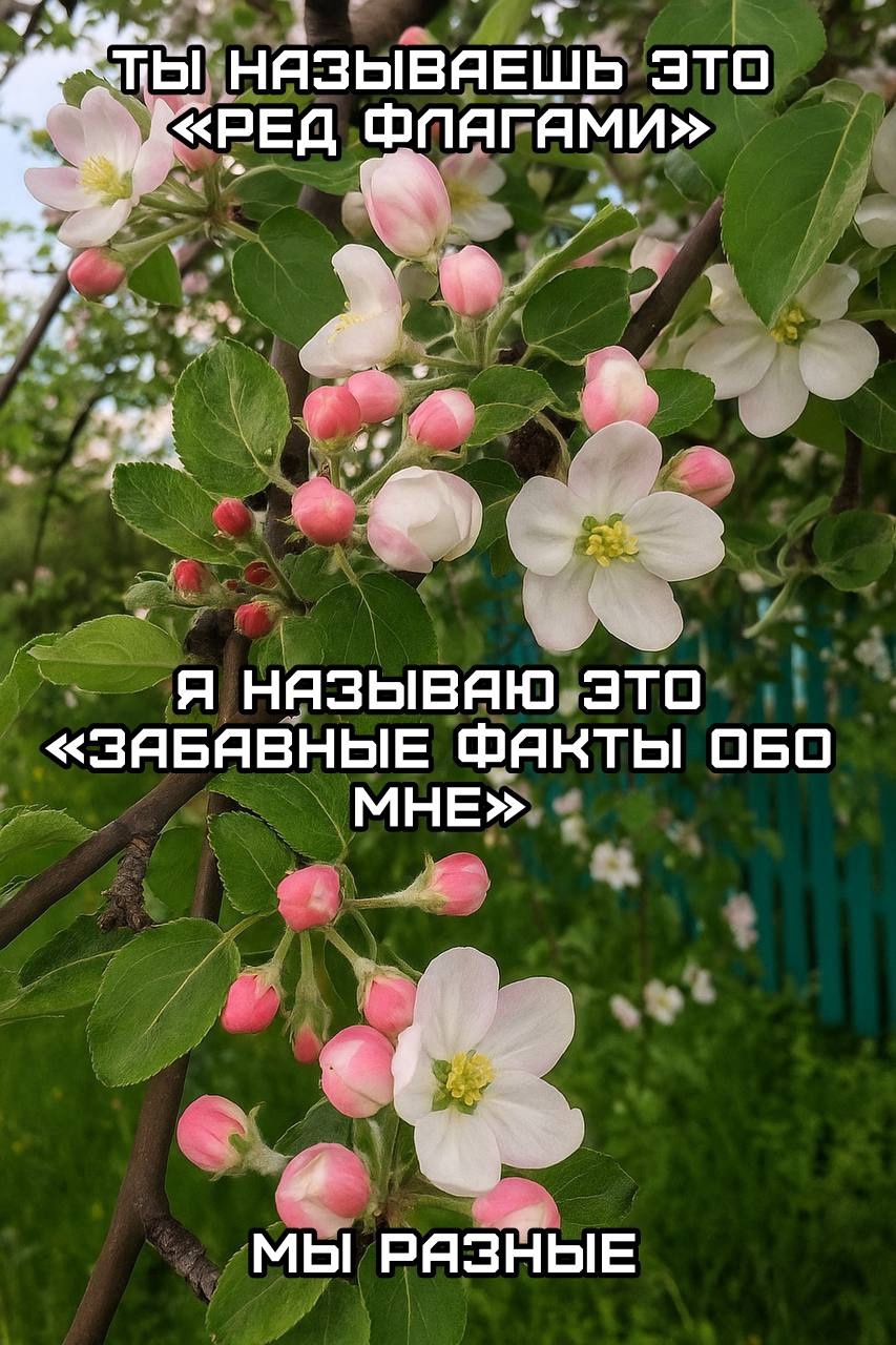 Смешная картинка 1750777980
