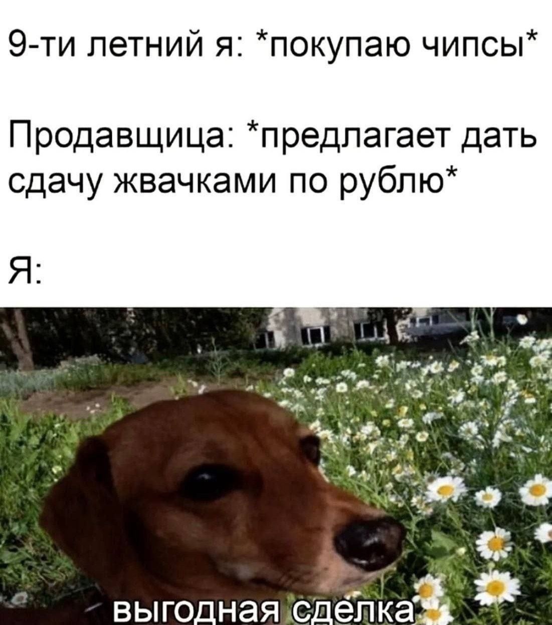 Смешная картинка 1750876200