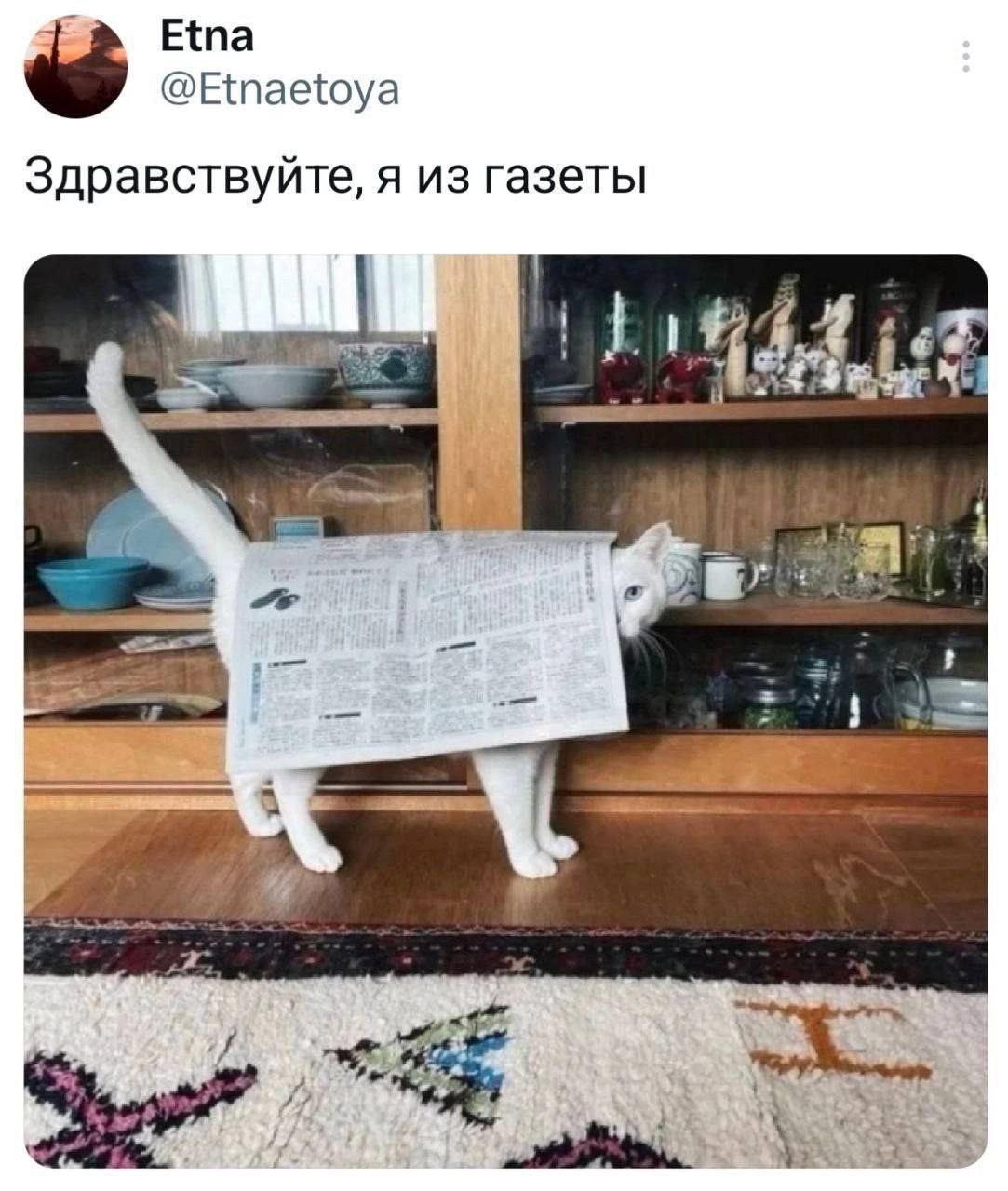 Смешная картинка 1750926660