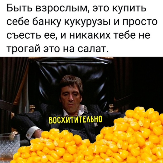 Смешная картинка 1750928580