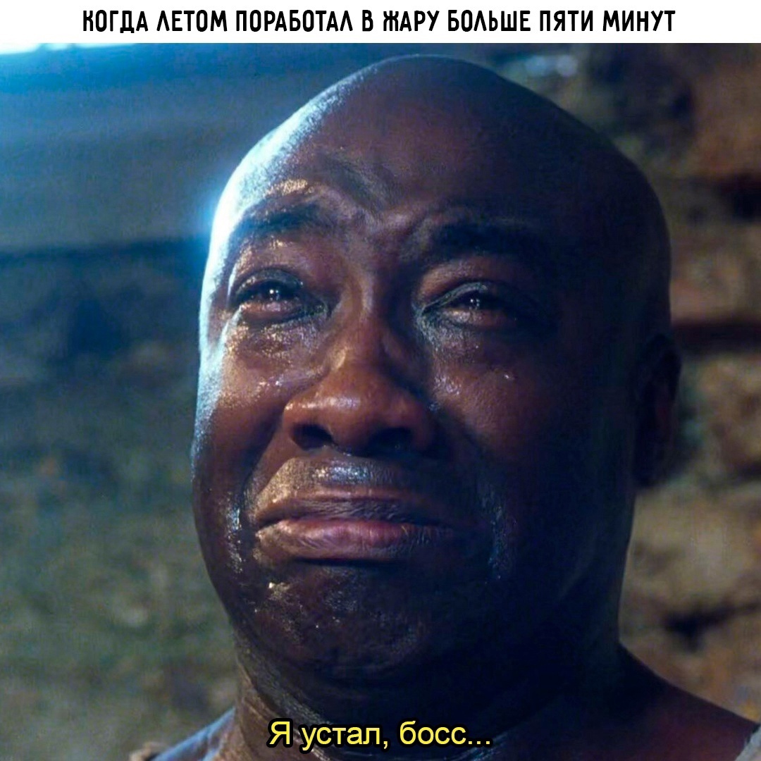 Смешная картинка 1750953780