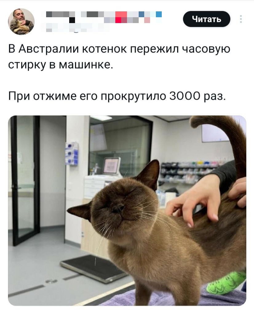 Смешная картинка 1750953870