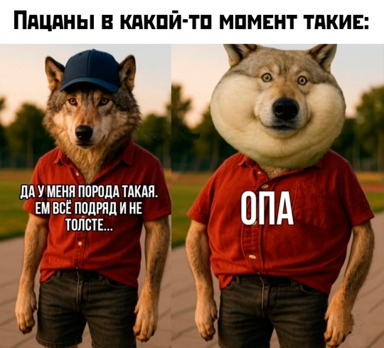 Смешная картинка 1750967572