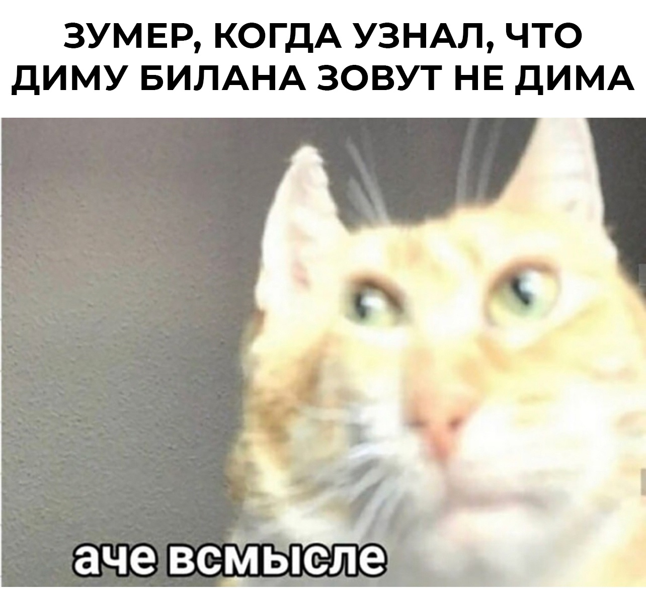 Зумеры в шоке: Диму Билана зовут не Дима. Его настоящее имя — Виктор Николаевич Белан. ВИКТОР. НИКОЛАЕВИЧ. БЕЛАН. Люди массово пересматривают свою жизнь. Комментарии под постами: ”А кто тогда Дима?”, ”Если он Виктор, то кем был весь этот Дима?”, ”Я не готов к такому повороту”.
Не говорите им, что Максим зовут не Максим Смешная картинка 1750968960