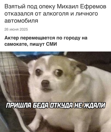 Смешная картинка 1751020816
