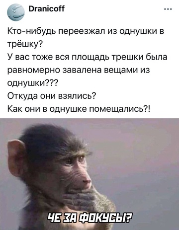 Смешная картинка 1751034778