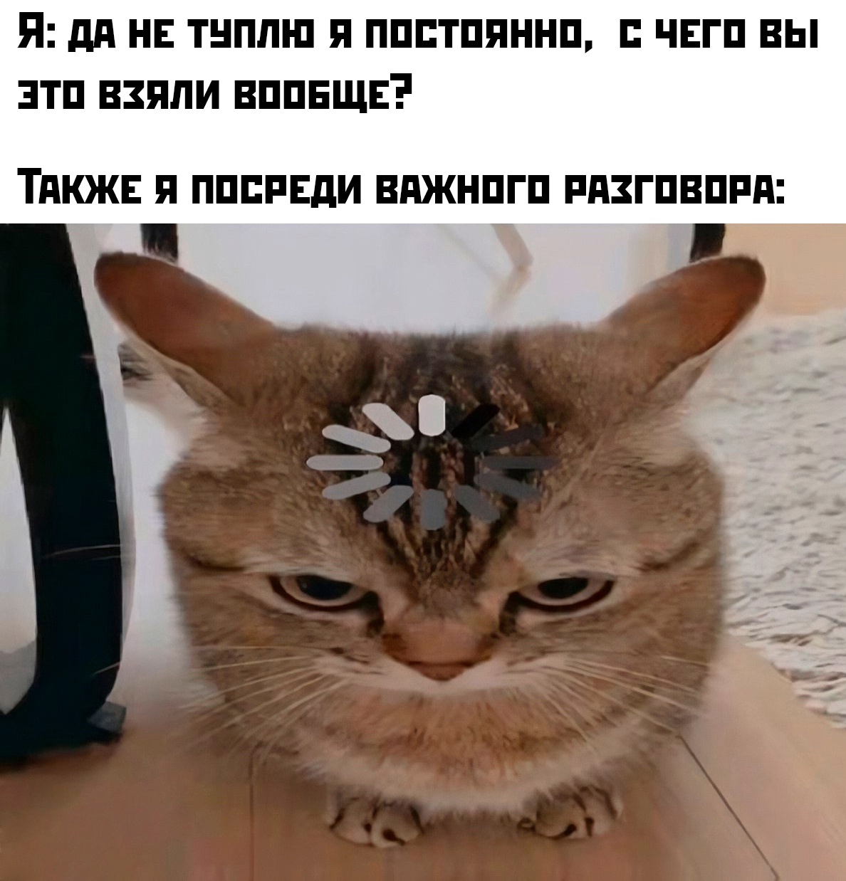 Смешная картинка 1751308992