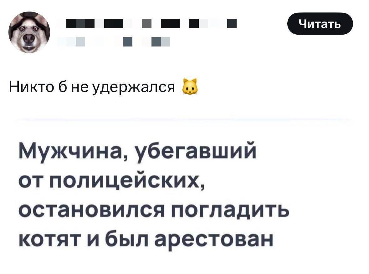 Смешная картинка 1751311894