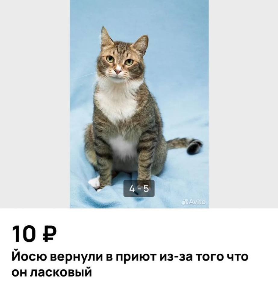 Смешная картинка 1751390760