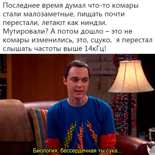 Смешная картинка 1751450580