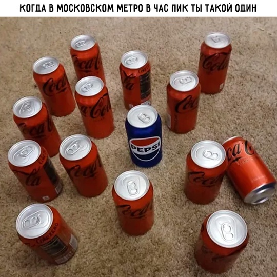 Смешная картинка 1751482980