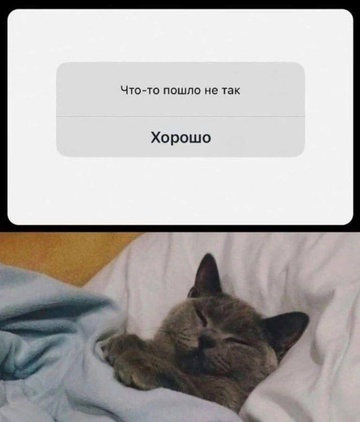 Смешная картинка 1751497740