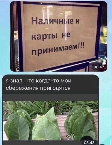 Смешная картинка 1751542140