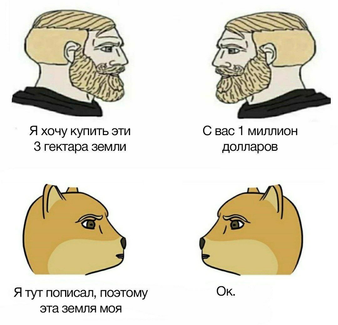 Смешная картинка 1751552400