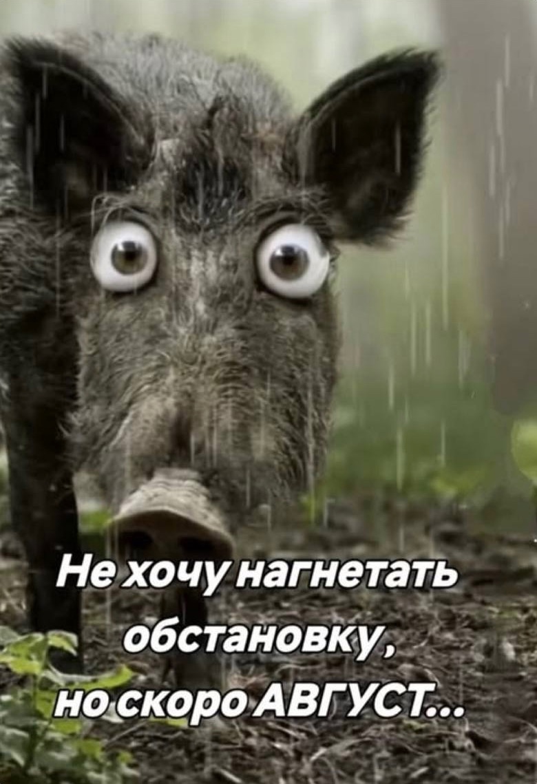 Смешная картинка 1751556651
