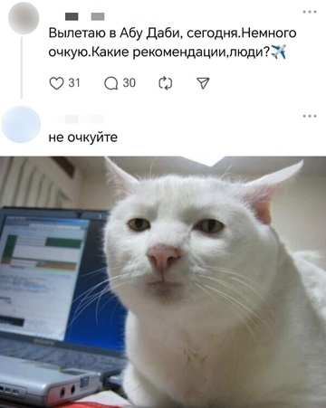 Смешная картинка 1751564134