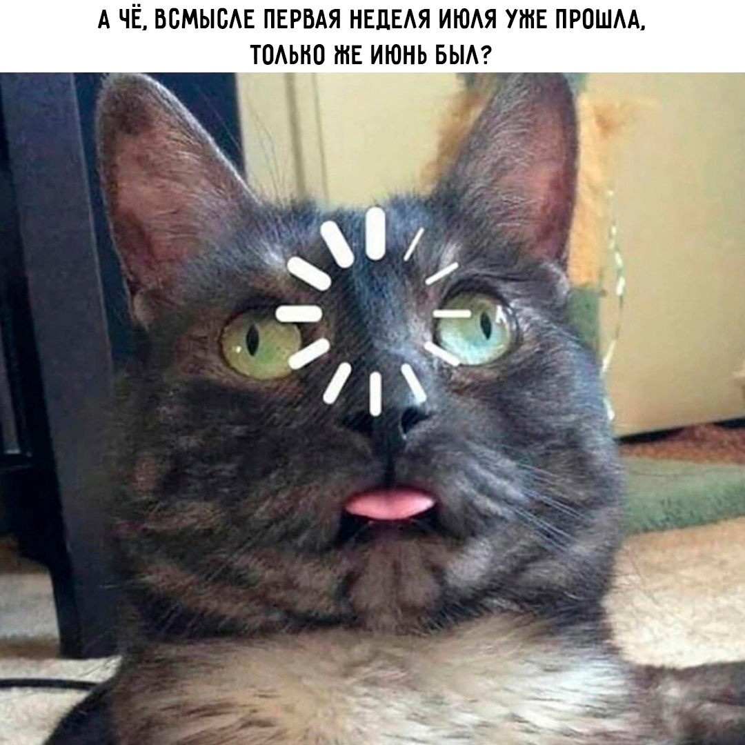 Смешная картинка 1751641380