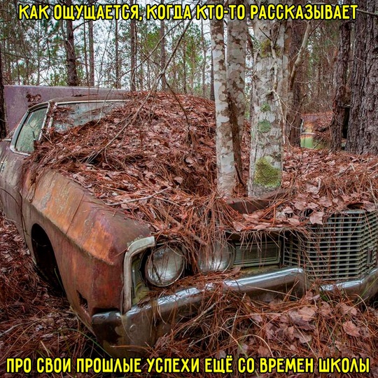 Смешная картинка 1751644980
