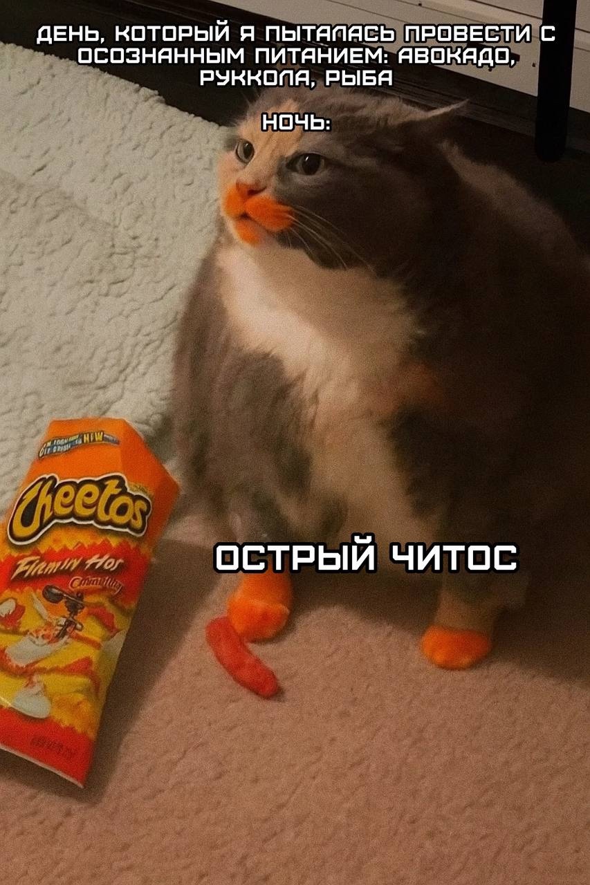 Смешная картинка 1751645580