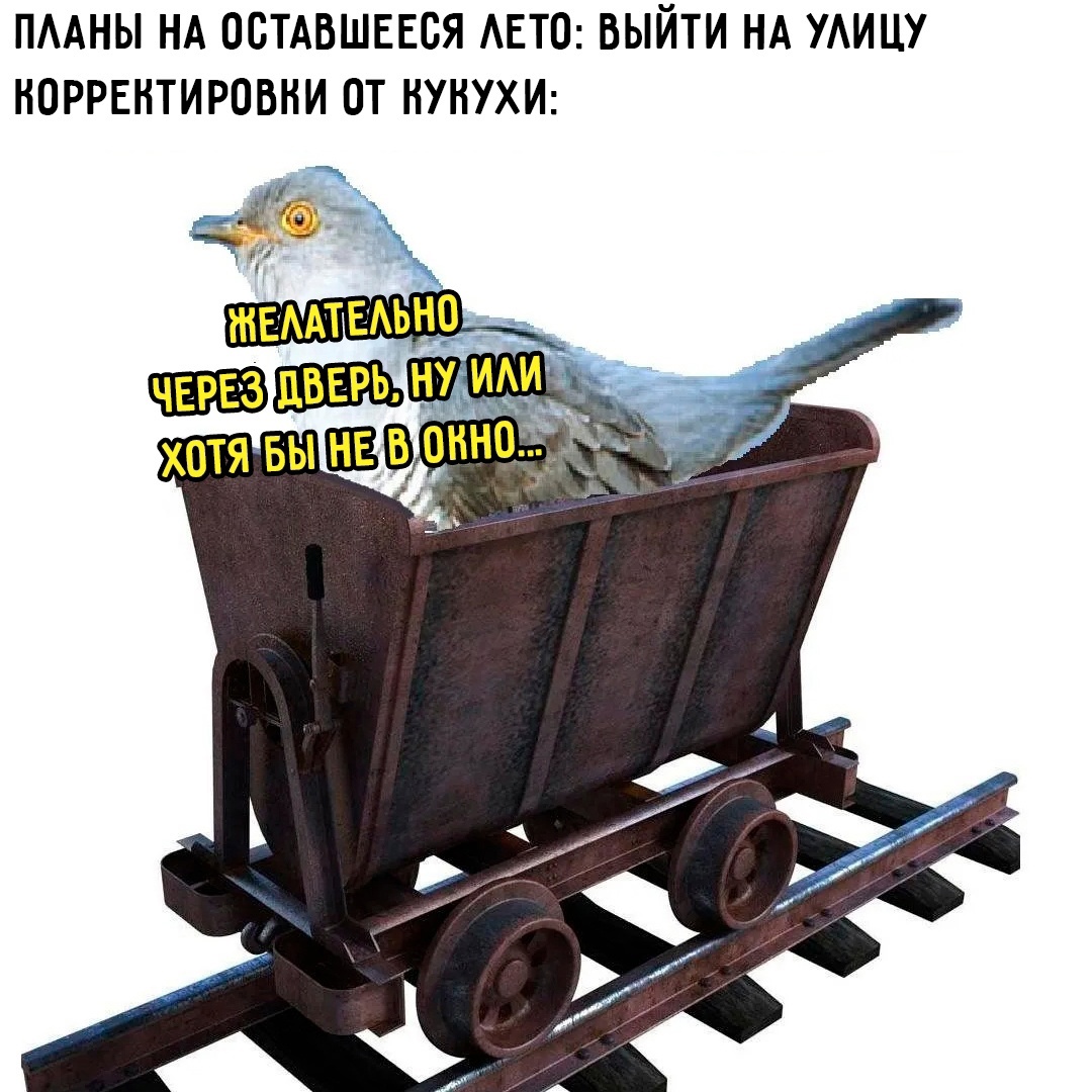 Смешная картинка 1751648580