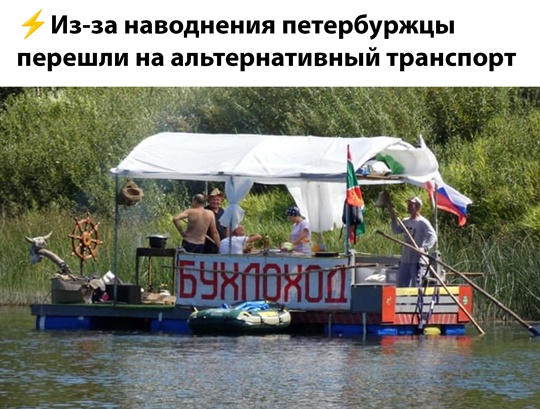 Смешная картинка 1751653694