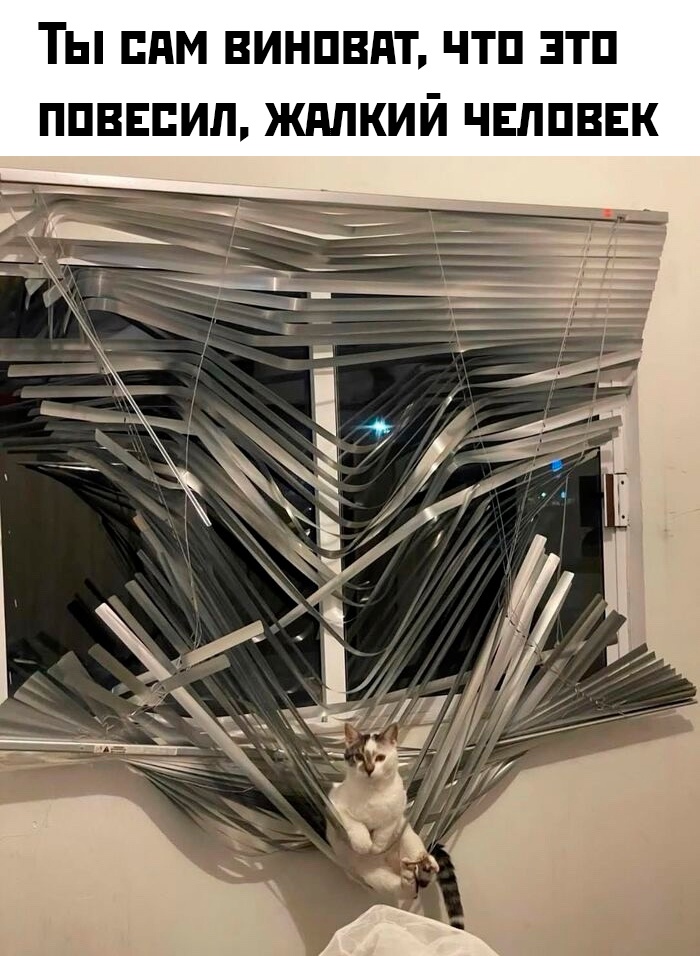 Смешная картинка 1751733153