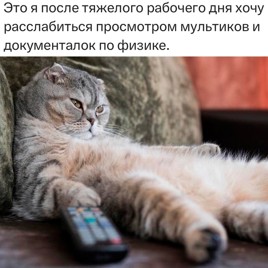 Смешная картинка 1751734980