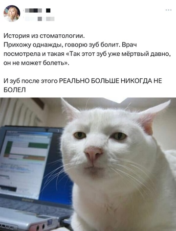 Смешная картинка 1751735464