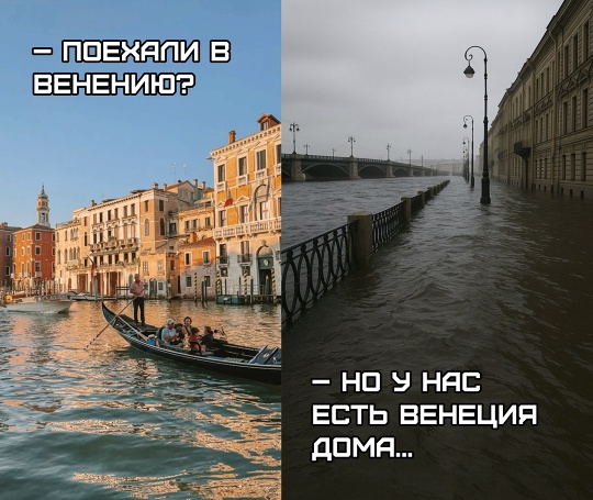 Смешная картинка 1751742780