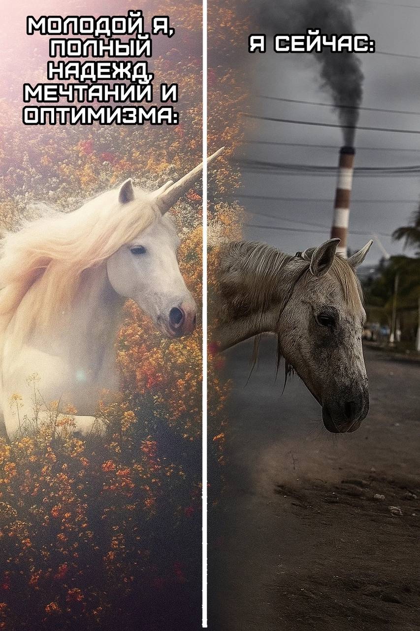Смешная картинка 1751811180