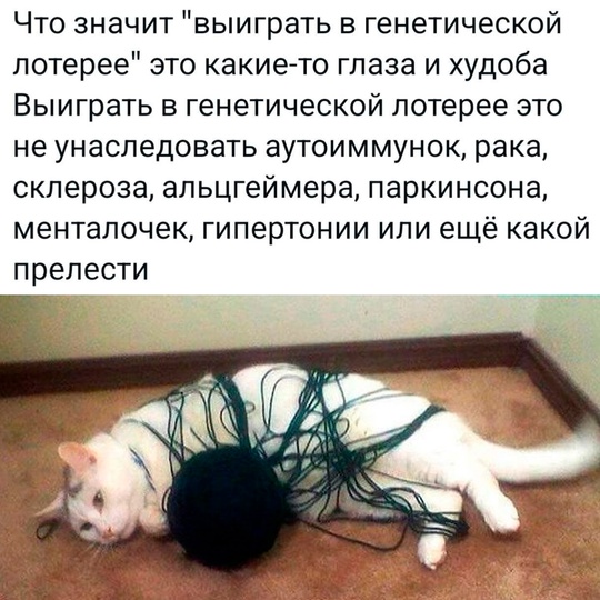 Смешная картинка 1751814180