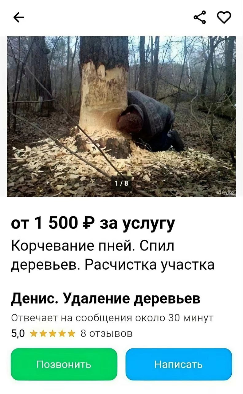 Смешная картинка 1751817305