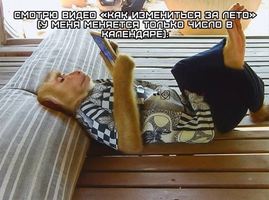 Смешная картинка 1751818380