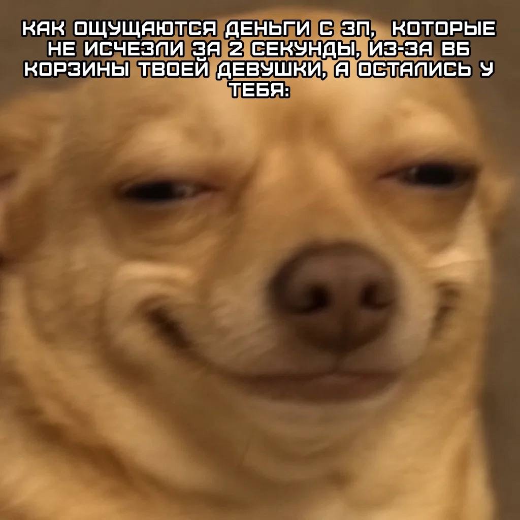 Смешная картинка 1751821980