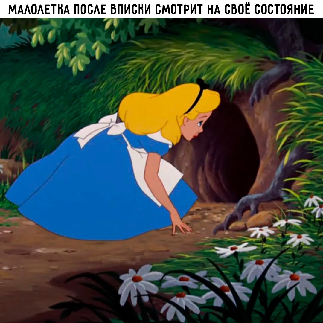 Смешная картинка 1751828580