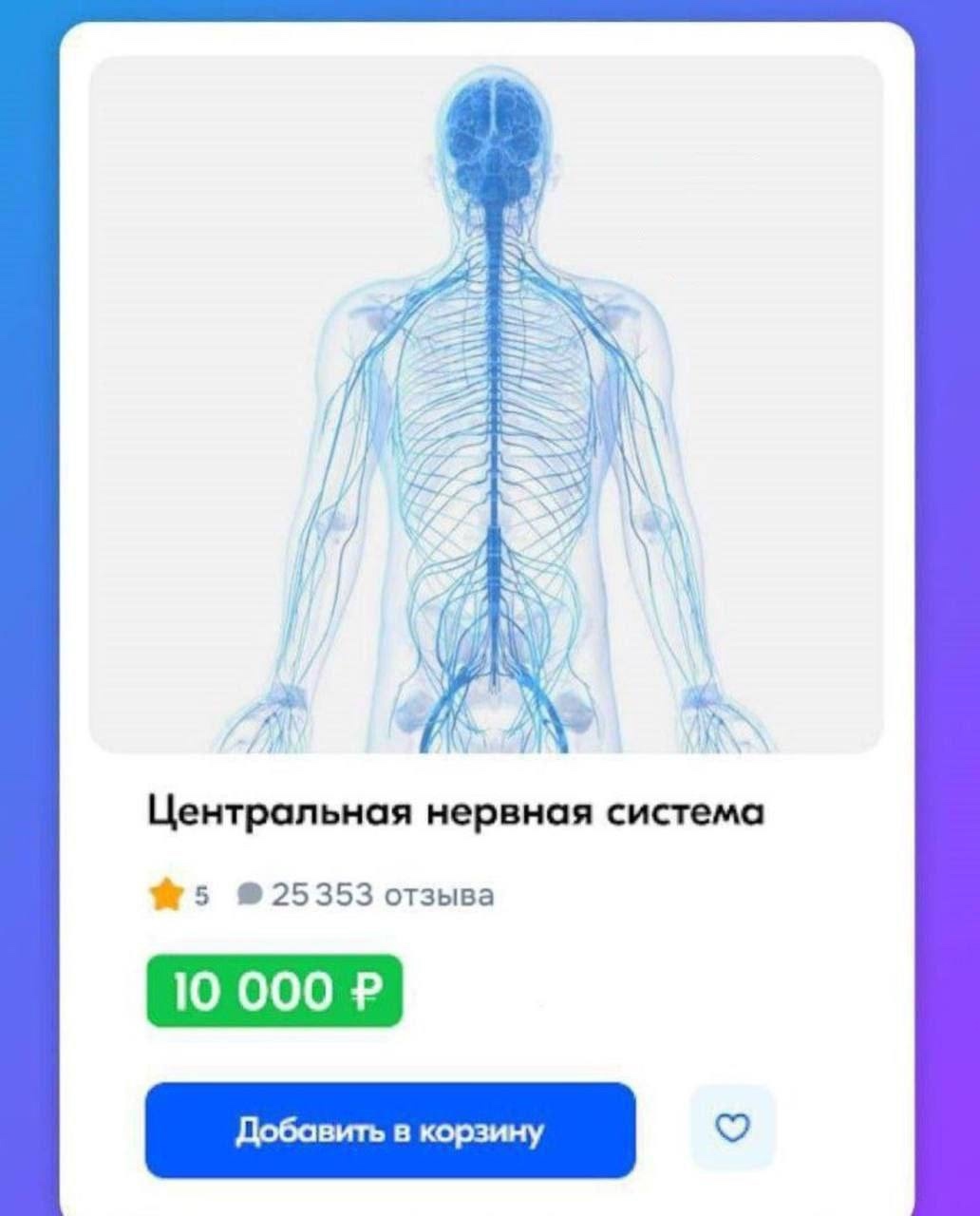 Смешная картинка 1752333461