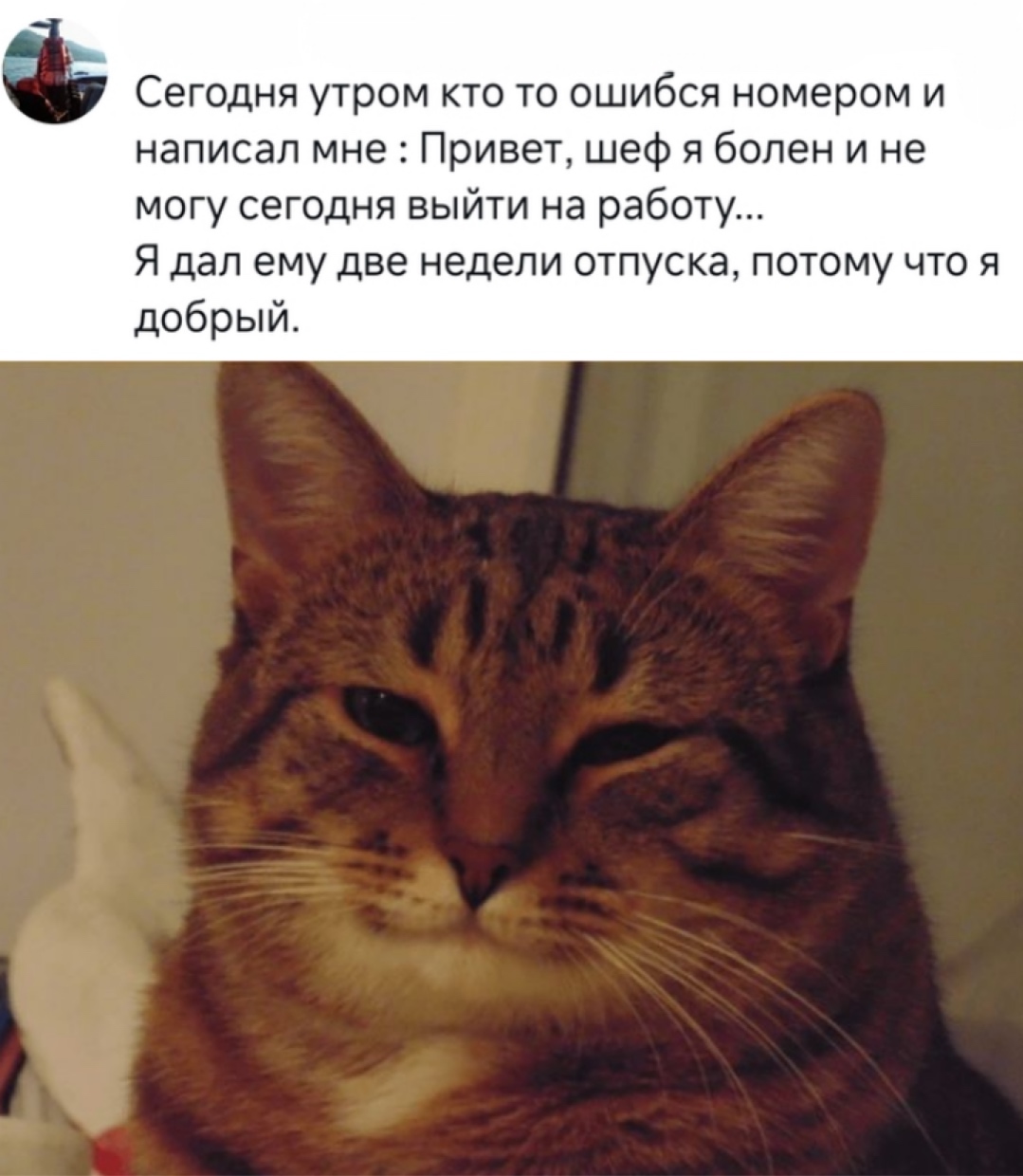 Смешная картинка 1752334448