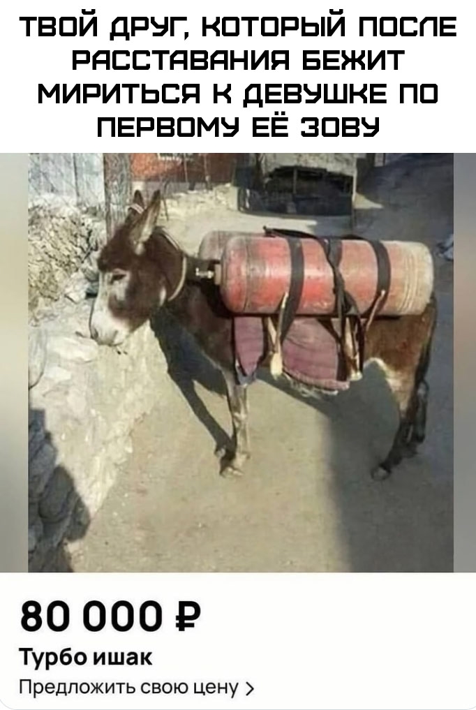 Как он себя видит: мудрый мужчина, который даёт ещё 1 шанс
Как он выглядит на самом деле: Смешная картинка 1752344013