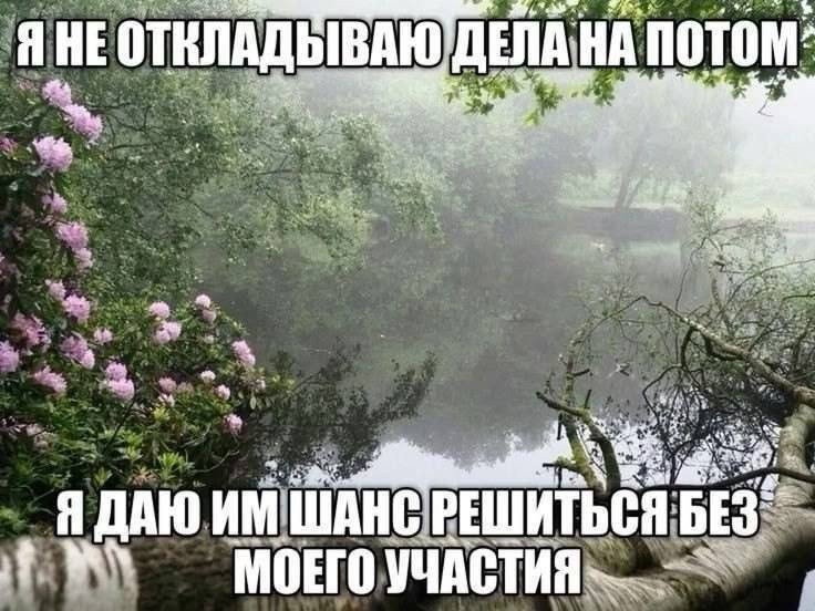 Смешная картинка 1752346509