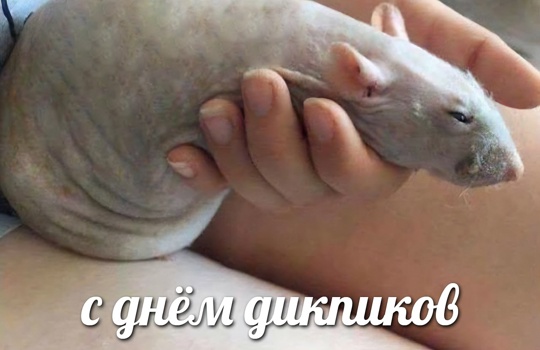 Смешная картинка 1752470610