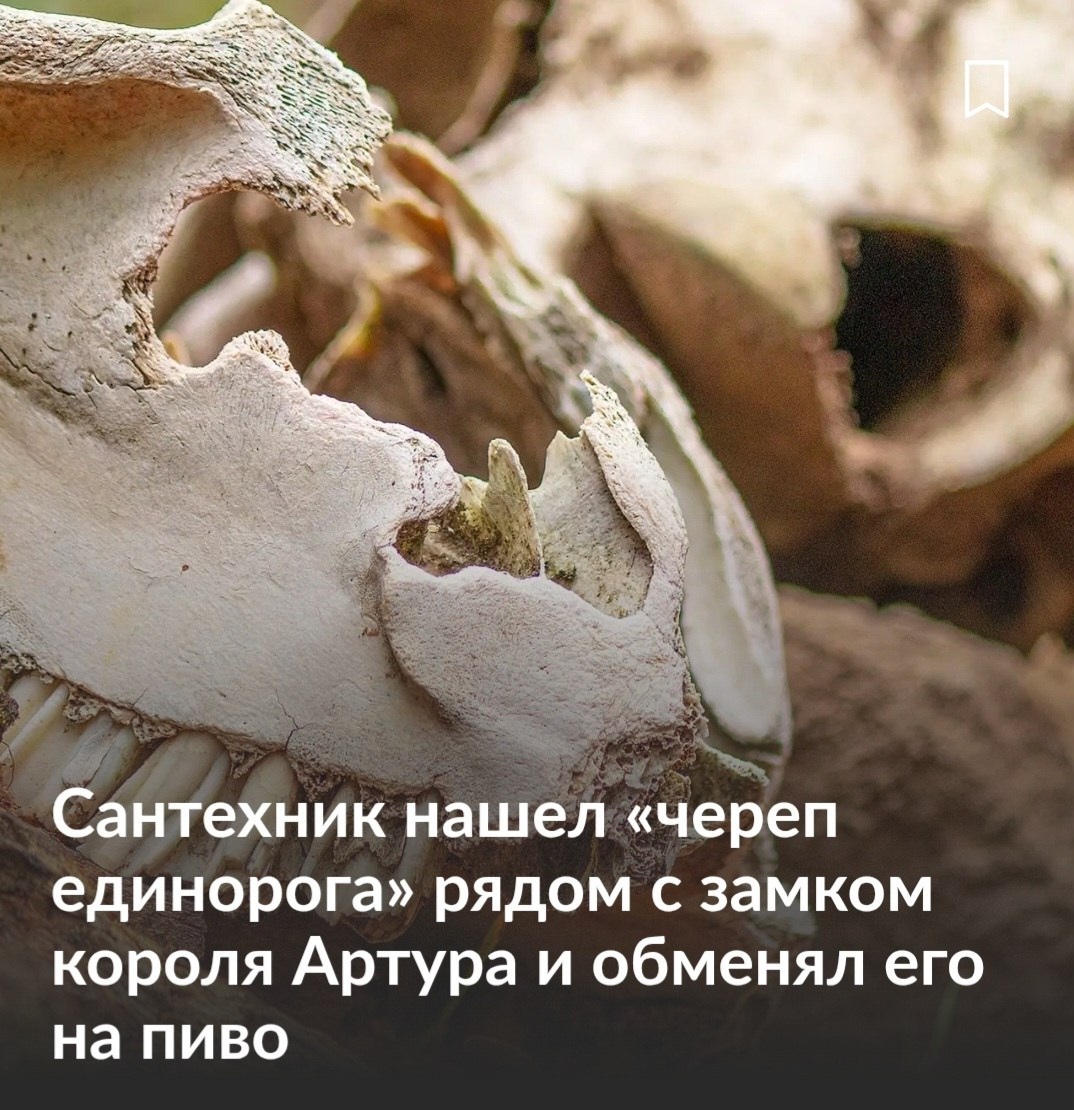 Смешная картинка 1752507507