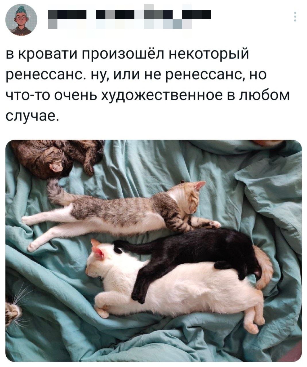 Смешная картинка 1752507919