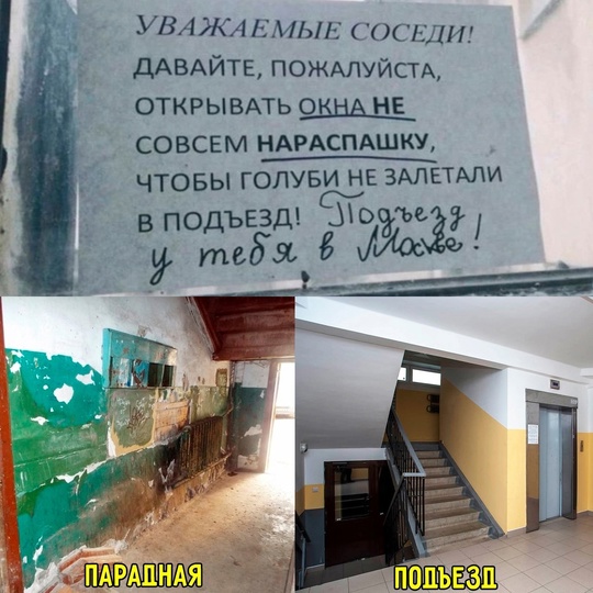 Смешная картинка 1752508980