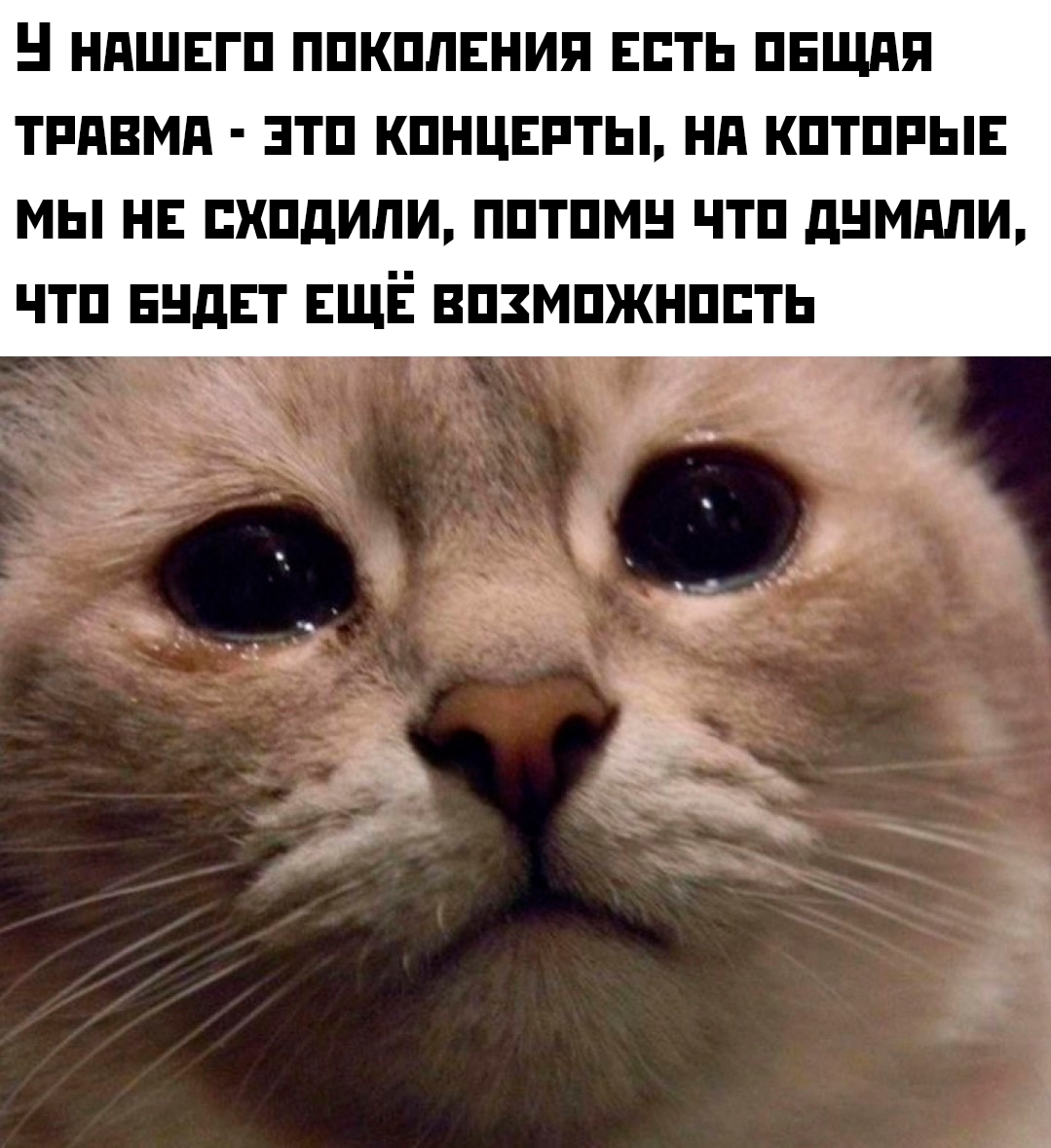 Смешная картинка 1752603988