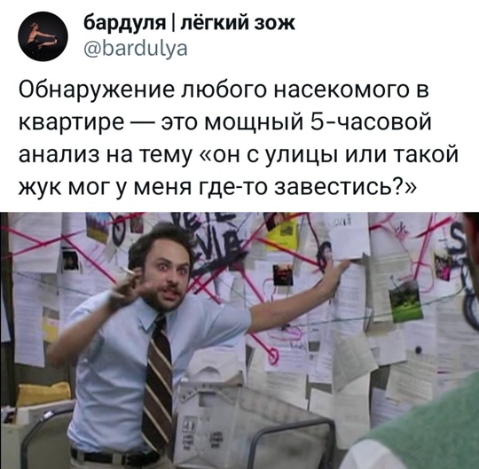Смешная картинка 1752656147