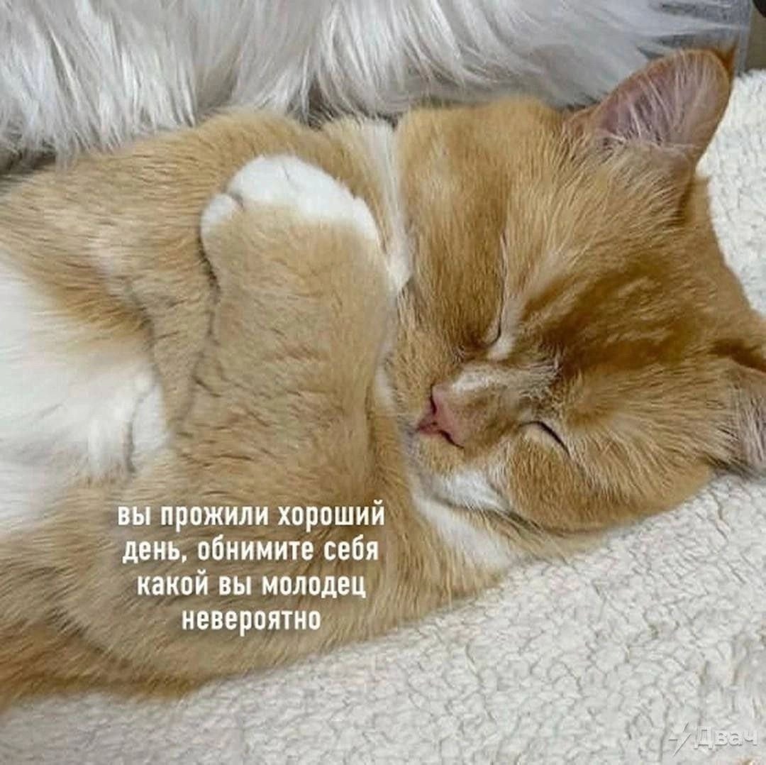 Смешная картинка 1752869142