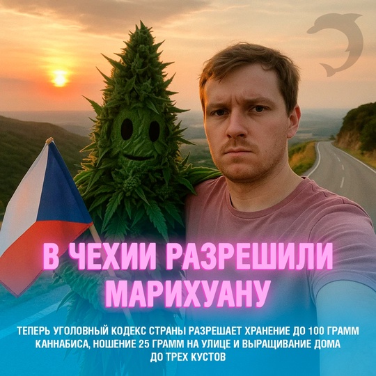 Смешная картинка 1752940200