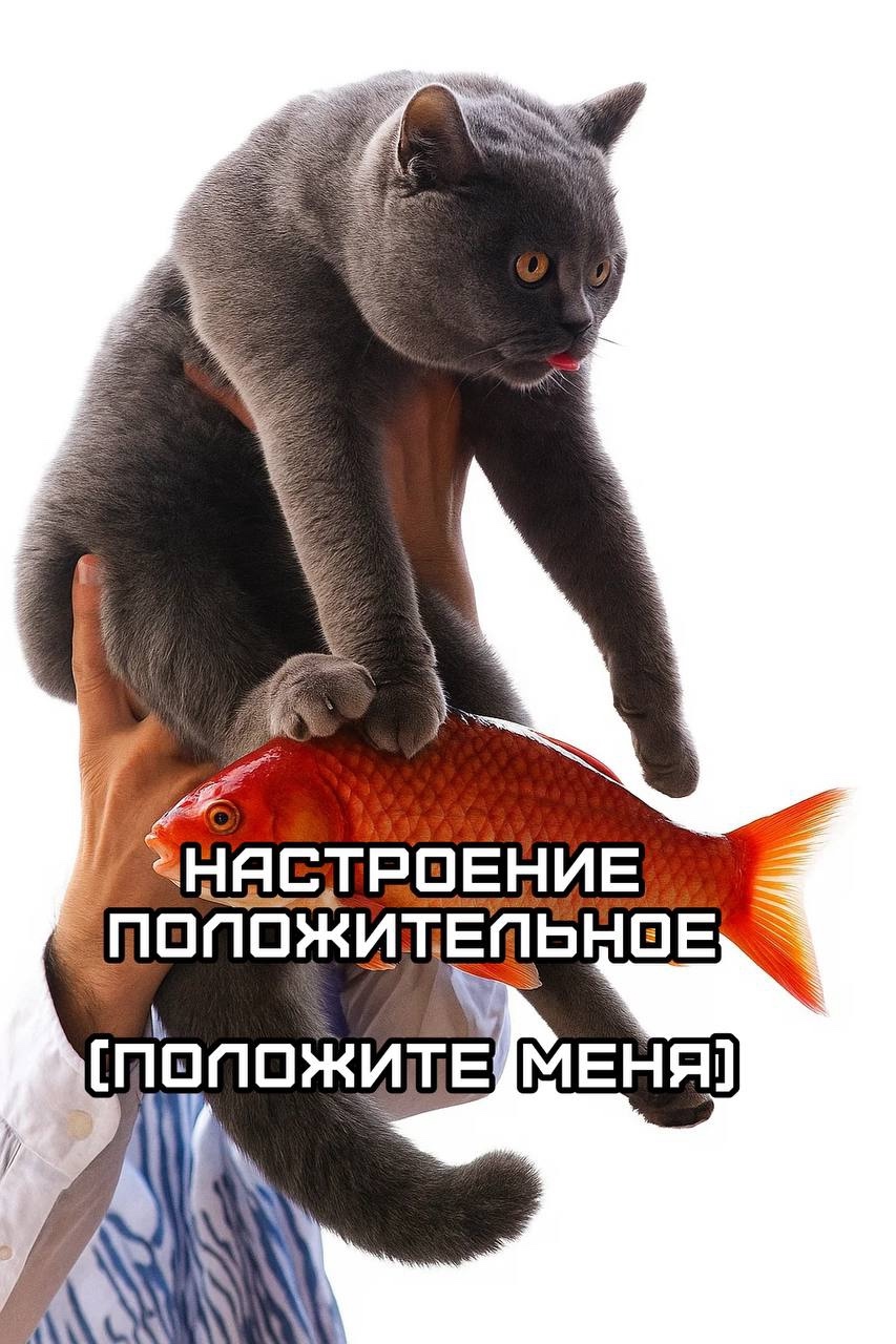 Смешная картинка 1752941580