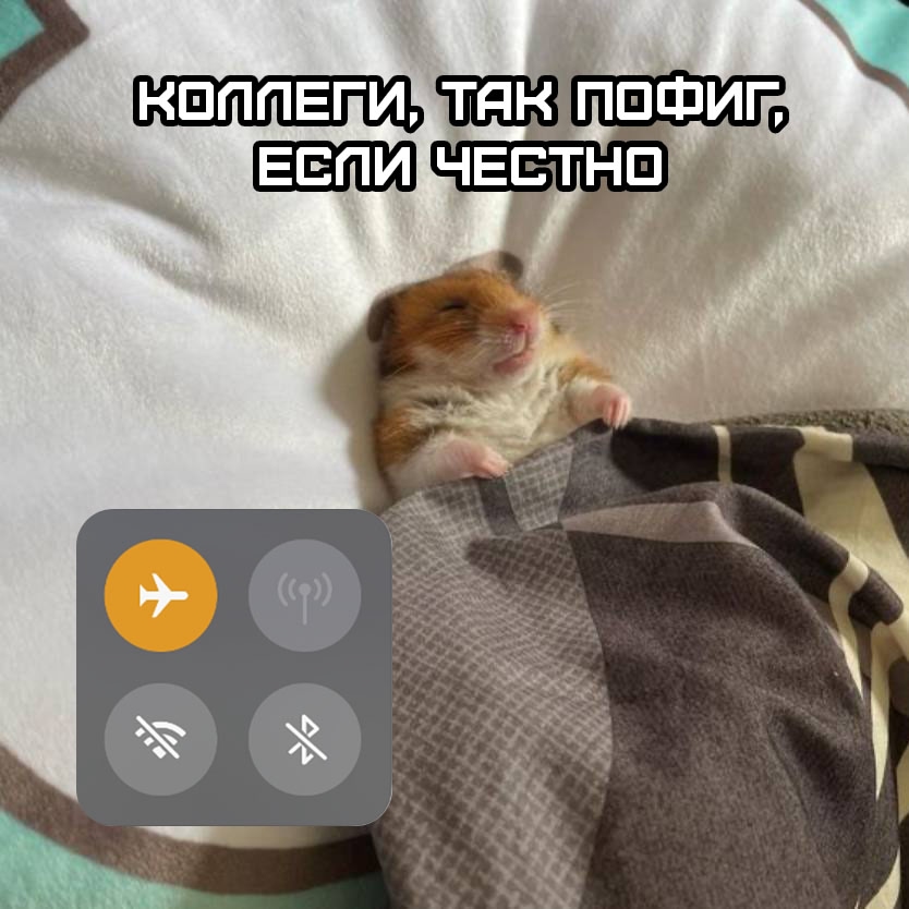 Смешная картинка 1752955980