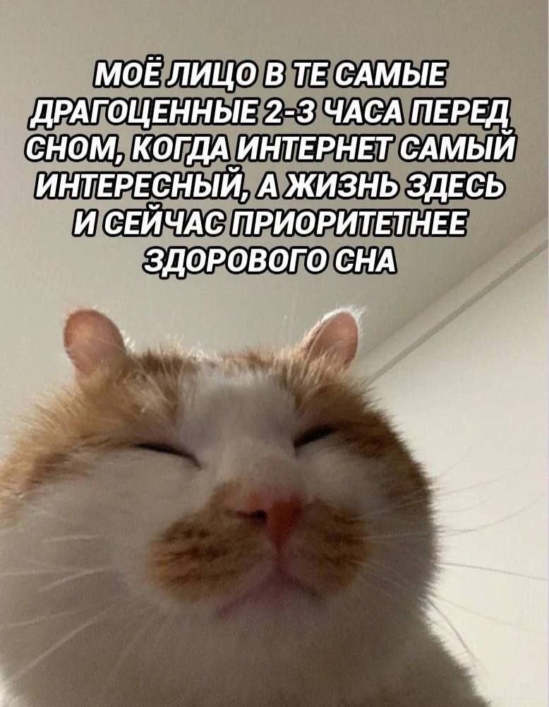 Смешная картинка 1753010333